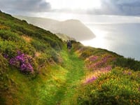 Nature Activity Days for North Hill Communities 