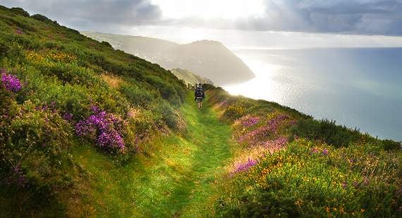 Campaign for National Parks says nature is facing ‘crisis’ on Exmoor