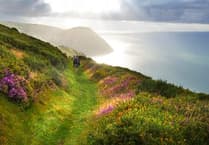 Campaign for National Parks says nature is facing ‘crisis’ on Exmoor