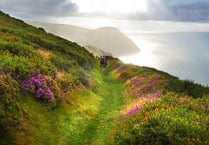 Campaign for National Parks says nature is facing ‘crisis’ on Exmoor