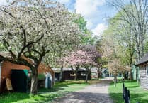 Check planning applications received recently by Somerset Council