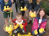 Ducks galore