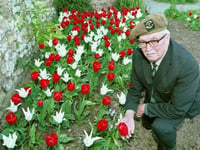Tulips mark Dunster's Dutch link