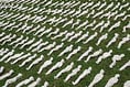 Artist recalls a single day at the Somme