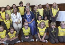 Badges for Brownies who love Minehead