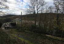 More jobs wanted on paper mill site