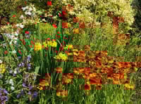 Cottage wildlife  garden open