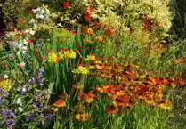 Cottage wildlife  garden open