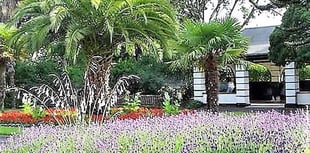 OPINION: Shoppers' car park should be returned to Blenheim Gardens