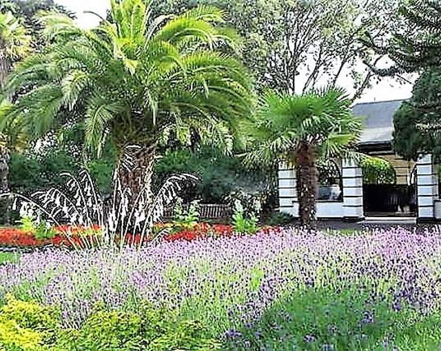 OPINION: Shoppers' car park should be returned to Blenheim Gardens