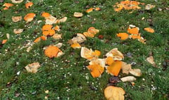 Don't fly-tip pumpkins on the hills