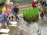 First ever SWP eco-school grants