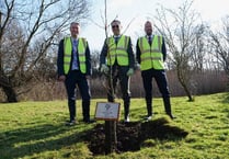 Jubilee tree at Hinkley Point B