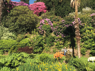 ‘Glorious gardens’ to raise money for hospice
