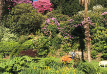 ‘Glorious gardens’ to raise money for hospice