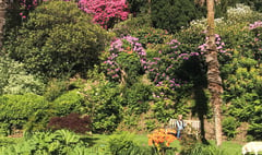 ‘Glorious gardens’ to raise money for hospice
