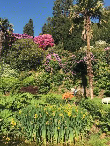 Hollam House