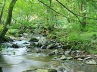 National Trust's array of wildlife activities at Horner Wood 