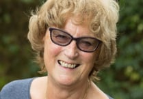 SOMERSET: GP websites survey