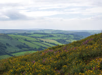 Public meeting on Little Acres development plans