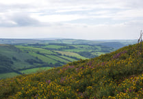 Public meeting on Little Acres development plans