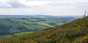 Public meeting on Little Acres development plans
