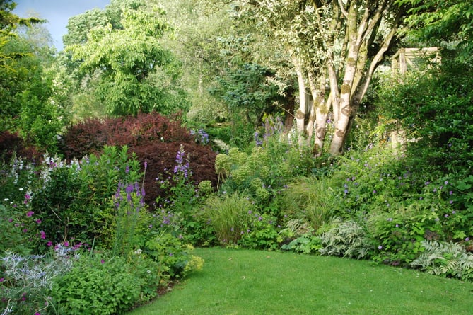 Chance to view gardens in Stogumber