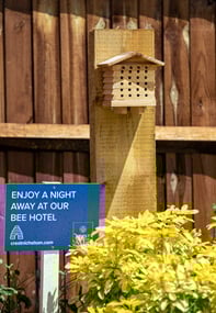 Developers build bee hotels and hedgehog highways