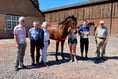 Racehorse stables visit: All 100 places snapped up