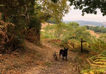 No water restrictions despite drought status