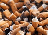 500 Somerset people fined for dropping cigarette butts
