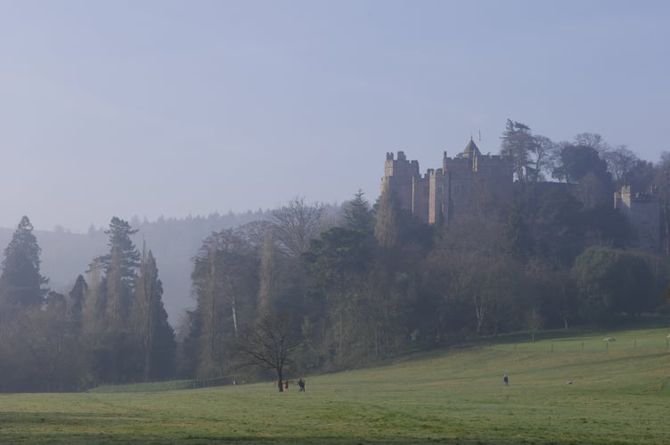 Misty parkland at Dunster Castle, Somerset