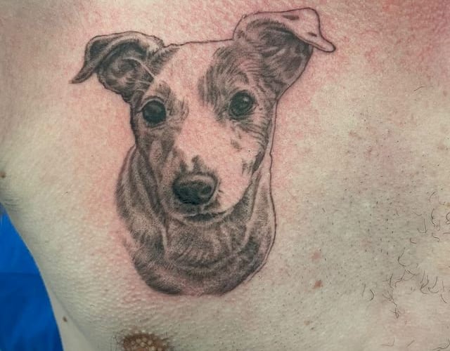 Pictured Sean Howe's tattoo of his Jack Russell Terrier Doddy. A heartbroken man has had a tattoo done in tribute to his dead dog of the pooch's face using his ASHES mixed with the ink. See SWNS story SWSMdog. Sean Howe, 32, was devastated after having to put his beloved Jack Russell Terrier Doddy to sleep at 17 years old in June 2022 after having him since he was just a puppy.