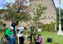 Special tree gifted to thank Somerset team for planting