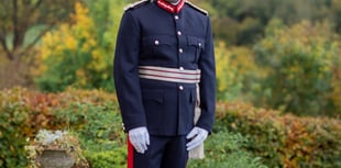King is asked to sack Lord Lieutenant