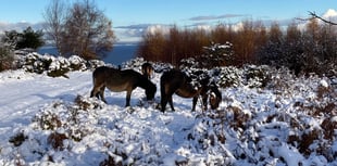 More snow forecast across West Somerset 