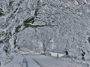Temperatures could drop to '-7C' amid Somerset snow and ice warning