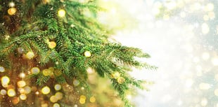Police warning on how to stop fraudsters ruining Christmas
