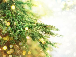 Police warning on how to stop fraudsters ruining Christmas