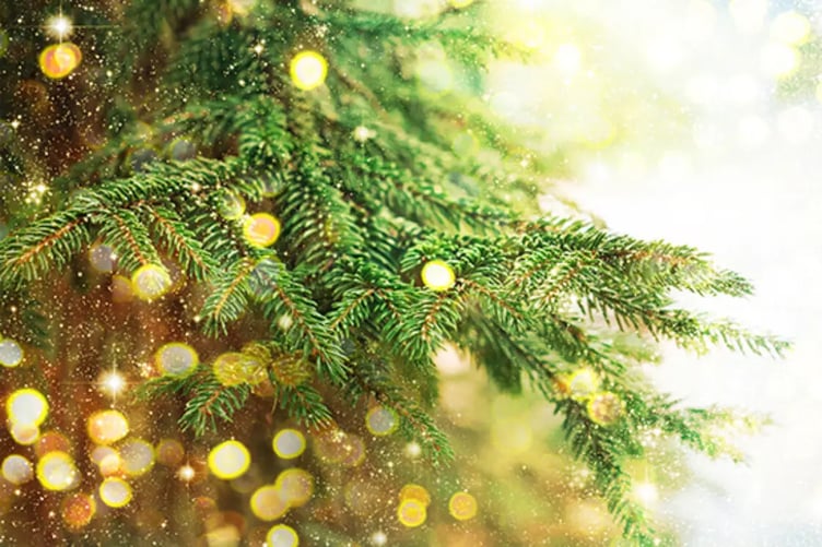 A Christmas tree