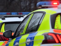 XL Bully, knuckle-dusters, and drugs seized in police raid