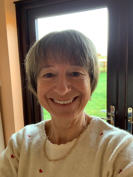 Sue Crowley library libraries Somerset New Year honours