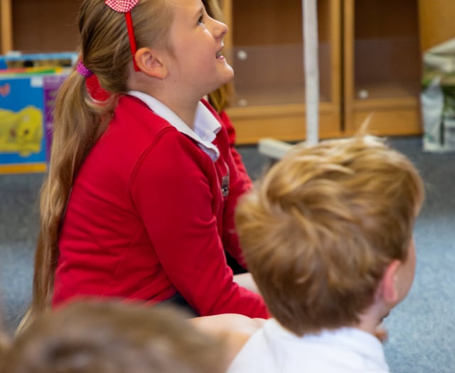 Somerset children 'have good access to primary schools'