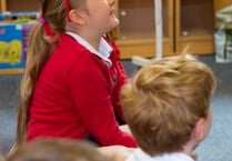 Somerset children 'have good access to primary schools'