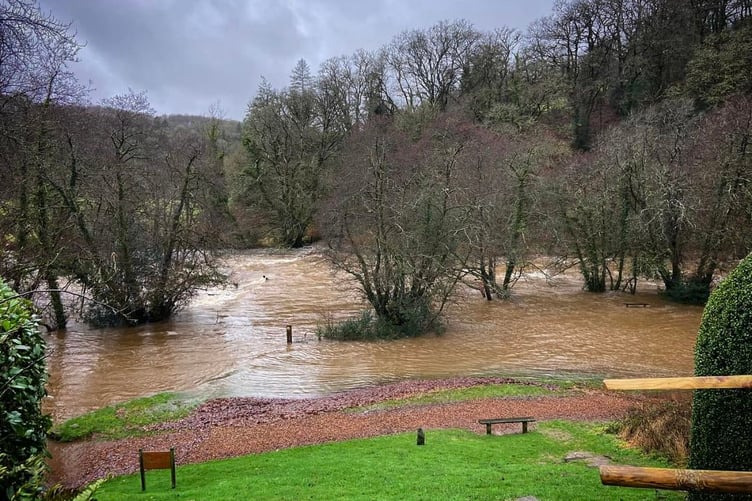 The River Barle at Tarr Steps on Thursday