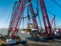 Fears nuclear plant decimates fish
