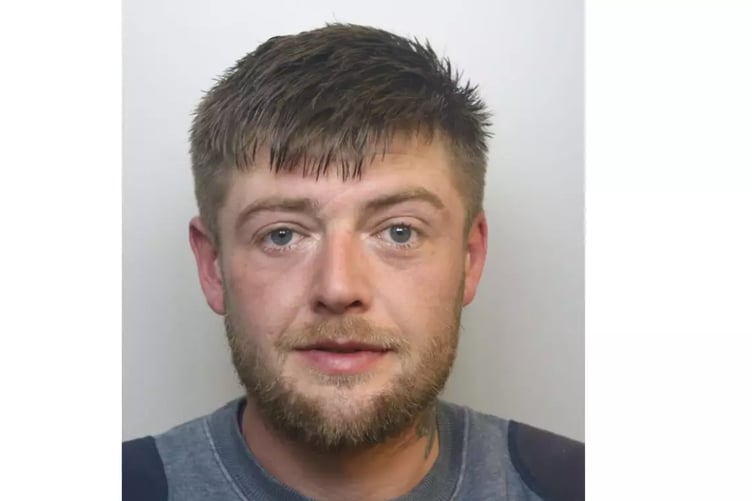 Luke Hawkes admitted causing death by dangerous driving