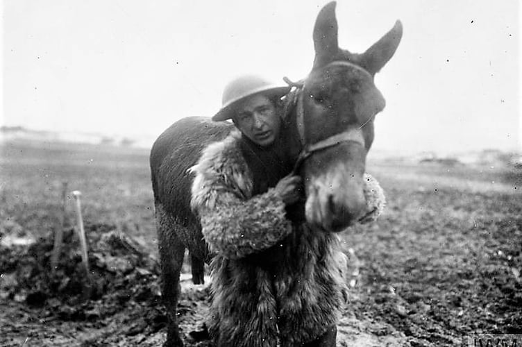 A lone British soldier with his trusty companion