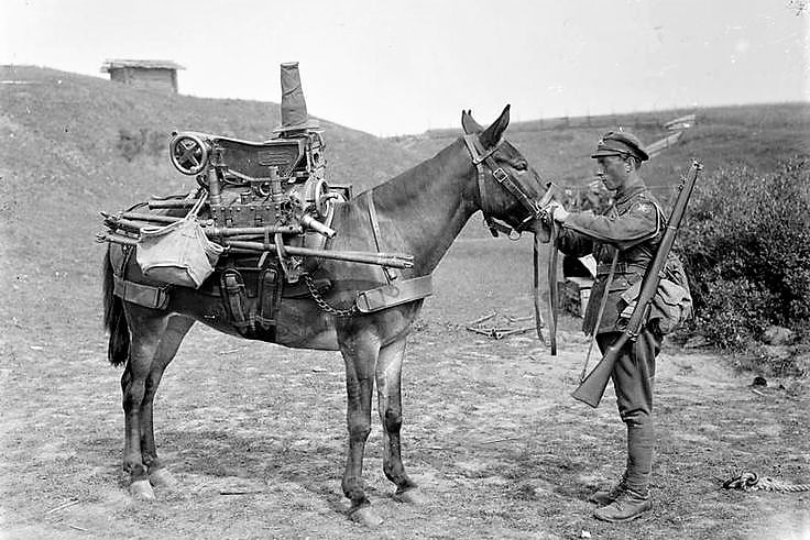 A soldier with a loaded mule