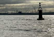 Campaigners claim permit change at Hinkley Point would kill billions of fish